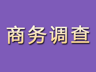 临桂商务调查